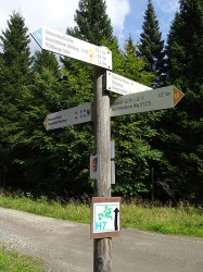 Herrenwanderung14016