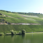 herbstfreizeit_2016_05