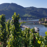 herbstfreizeit_2016_06